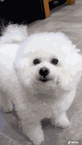 Pretty Eyes Love It GIF