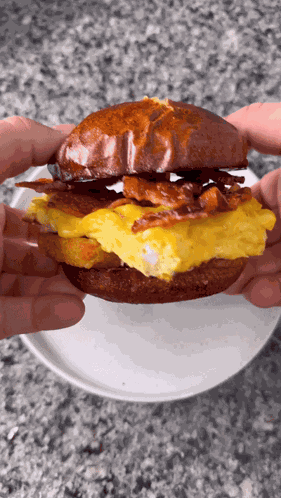 Pretzel Bun Breakfast Sandwich Breakfast GIF