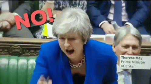 Prime Minister Theresa May No GIF