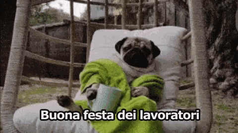 Primo Maggio Festa Dei Lavoratori Relax Rilassarsi Cane Pug GIF