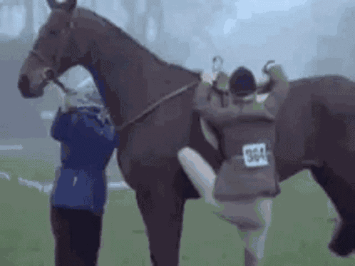 Princess Anne Princess Royal GIF
