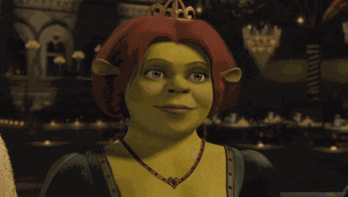 Princess Fiona Shrek GIF