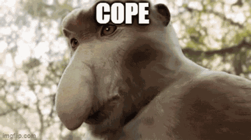 Procibous Monkey Procibous GIF