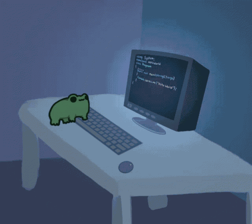 Programming Computer Frog GIF