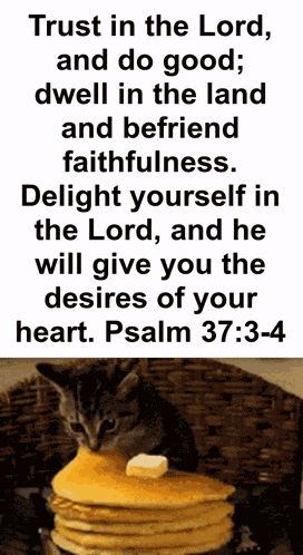 Psalm Cat GIF