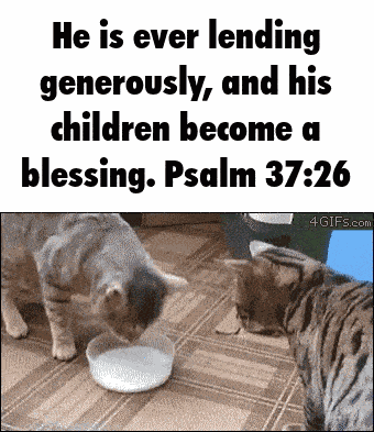 Psalm Cat GIF