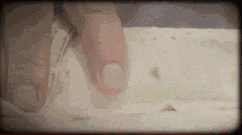 Psychostick Chimichonga GIF