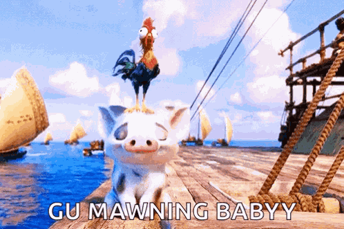 Pua Heihei GIF