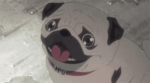 Pug Explosion GIF