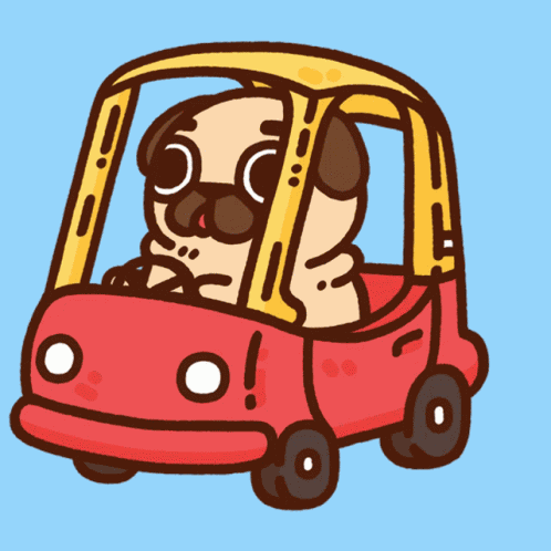 Pug Puglie GIF