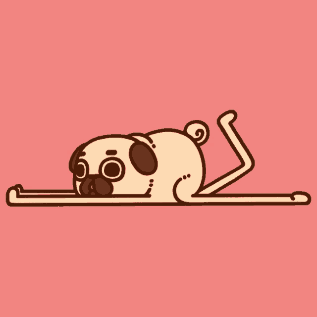 Puglie Pug Puglie GIF