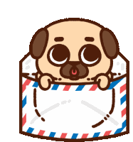 Puglie Pug Puglie Sticker