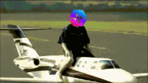 Pulsechain To The Moon GIF