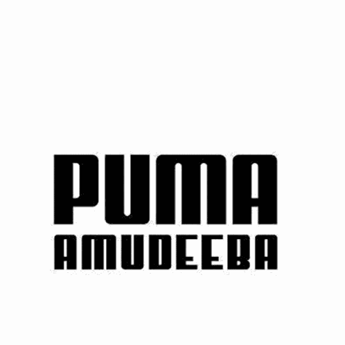 Puma Pumaamudeeba GIF