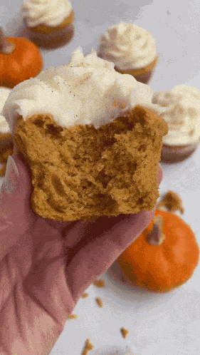 Pumpkin Cupcakes Dessert GIF