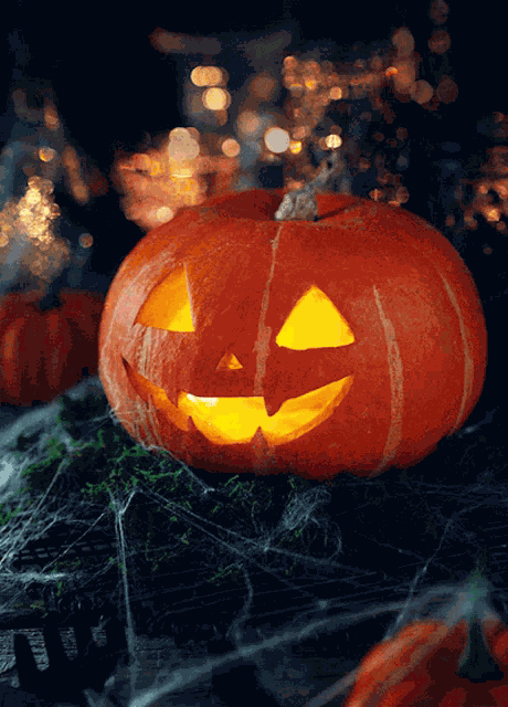 Pumpkin Happy Halloween GIF