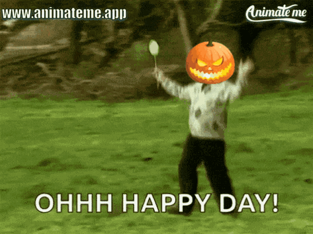 Pumpkin Pumpkin Head GIF