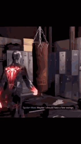 Punching Bag Boxing GIF
