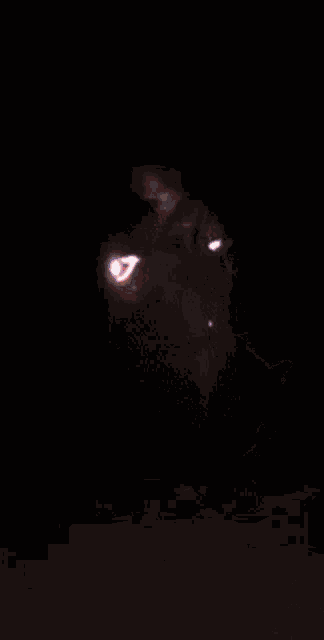 Punchline10 Scream GIF