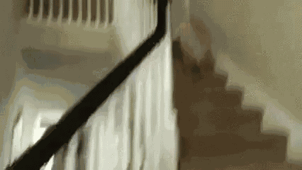 Pupper Fall Down The Stairs GIF