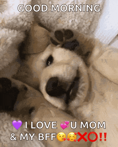 Puppies Silly Puppy GIF