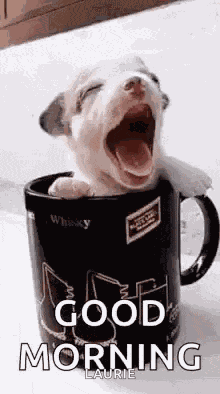 Puppy Cup GIF