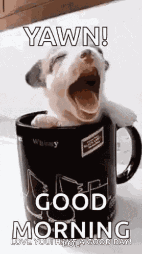 Puppy Cup GIF