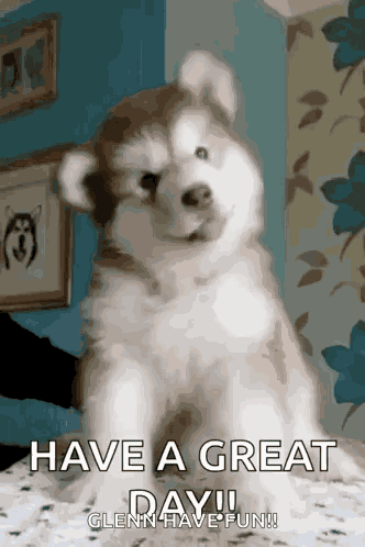 Puppy Cute GIF
