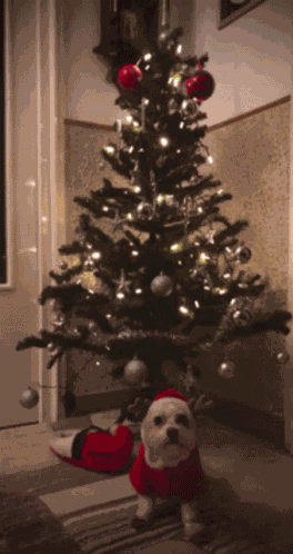 Puppy Cute GIF