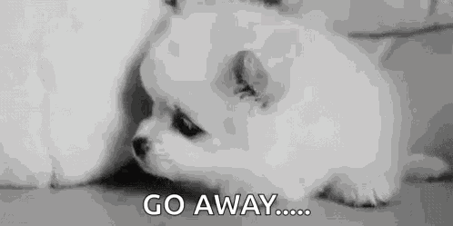 Puppy Dog GIF