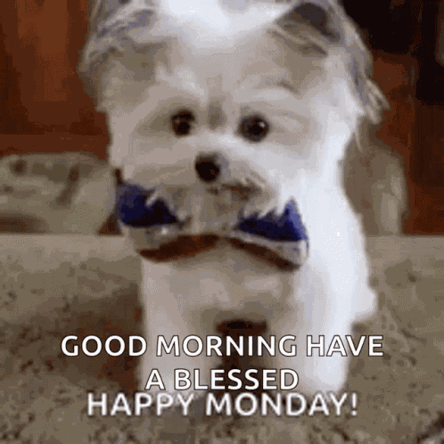 Puppy High GIF