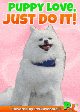 Puppy Love Love You Puppy GIF