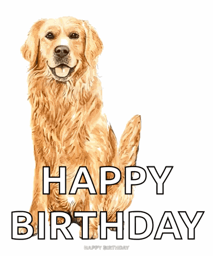 Puppytalesphotos Puppytales GIF
