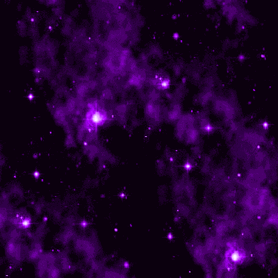 Purble GIF