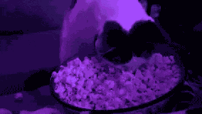 Purple Popcorn GIF