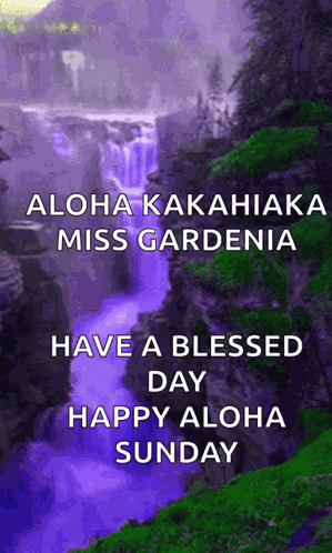 Purple Waterfall GIF