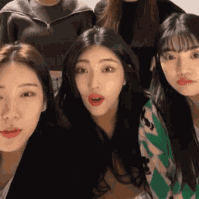 Purplebeck Staring GIF