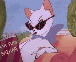 Purr Baddie GIF