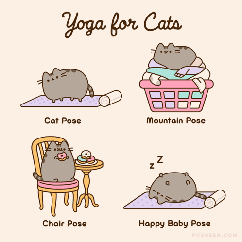 Pusheen Pusheen Cat GIF