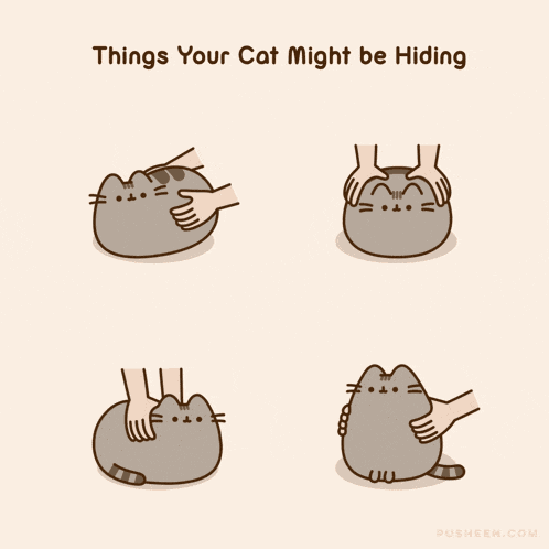 Pusheen Pusheen Cat GIF