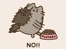 Pusheen Pusheen Cat Meme