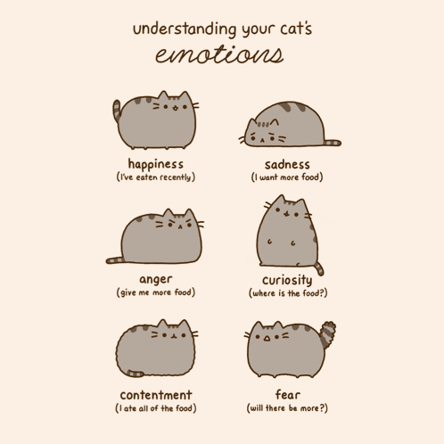 Pusheen Pusheen Cat GIF