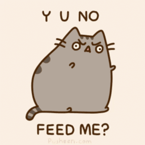 Pusheen Pusheen Feed GIF