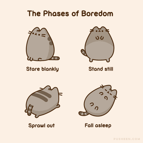 Pusheen Pusheen'S Best Friend GIF