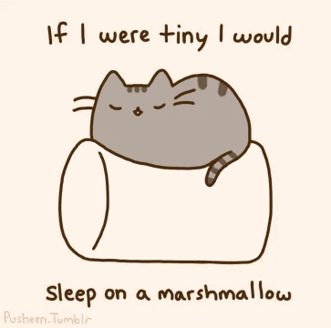 Pusheen Sleep GIF