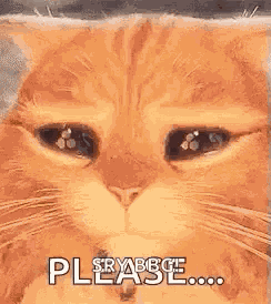 Puss In Boots Cat GIF