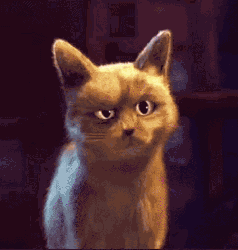 Puss In Boots Cat GIF