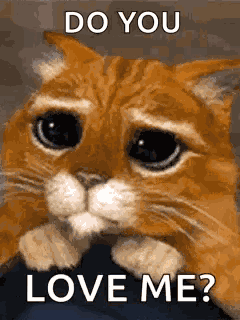 Puss In Boots Eyes GIF