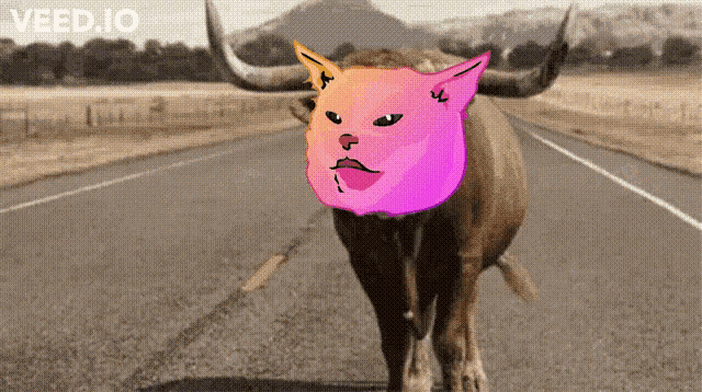 Pussy Financial Pussy GIF