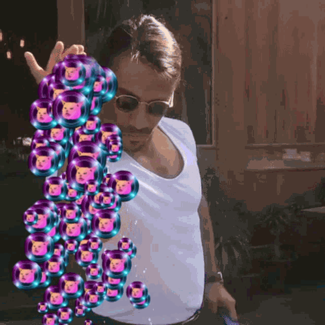 Pussy Pussy Financial GIF